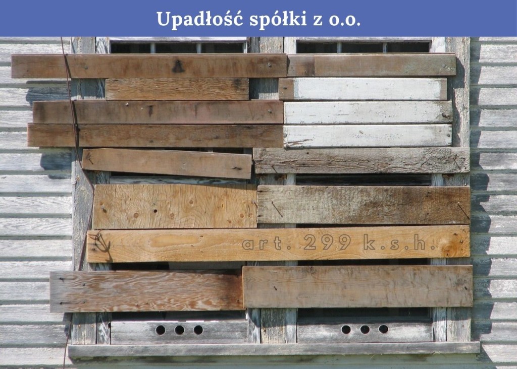 Upadłość spółki zoo